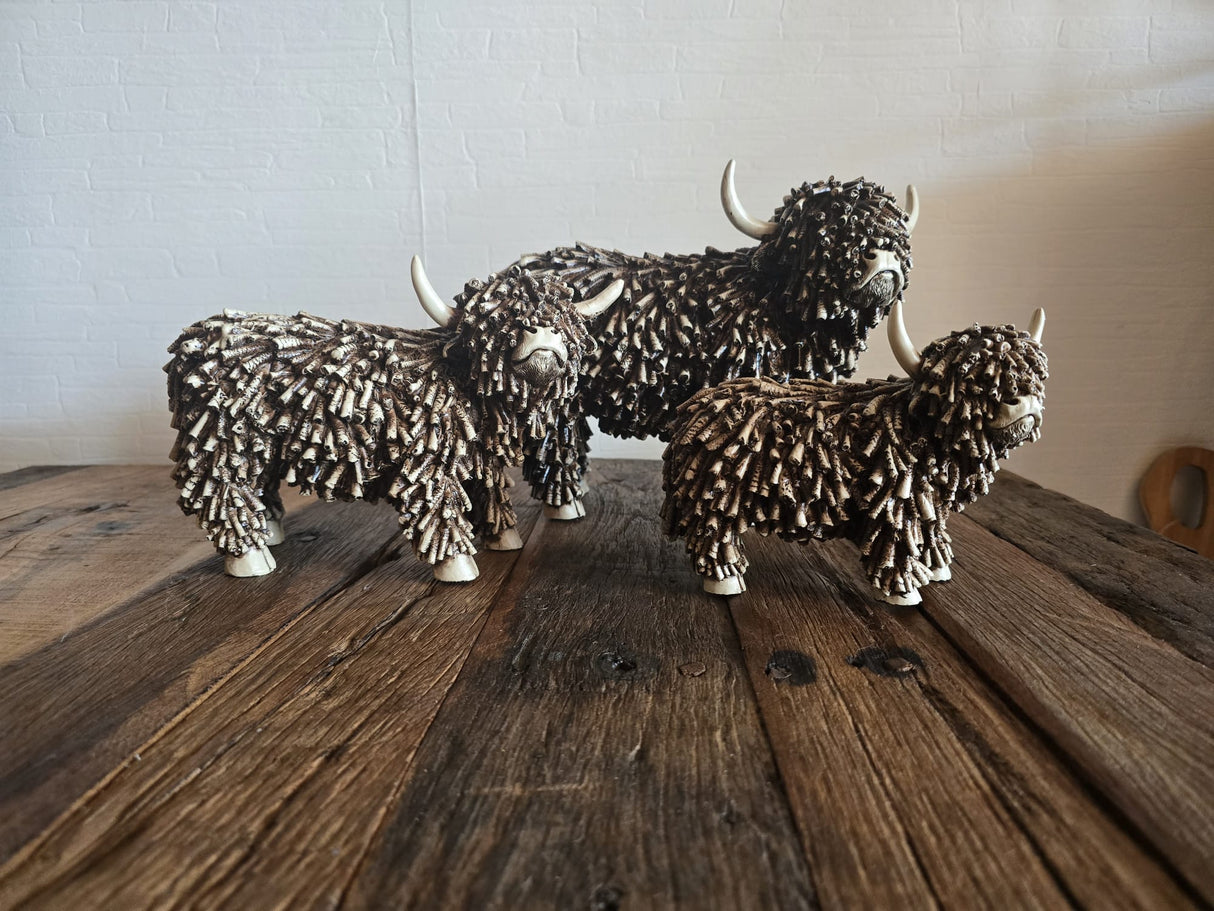Schotse Hooglander / bizon Dorkas van Countryfield maat L