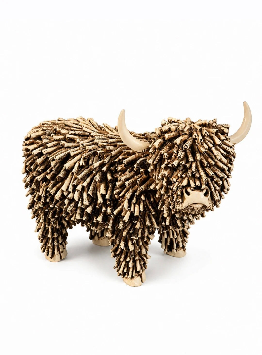 Schotse Hooglander / bizon Dorkas van Countryfield maat L