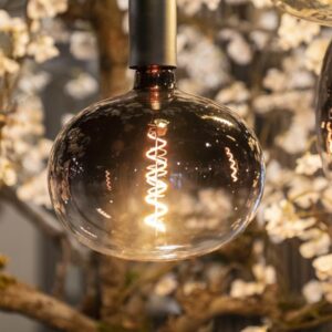 By-Boo lichtbron / lightbulb Edison Zwart