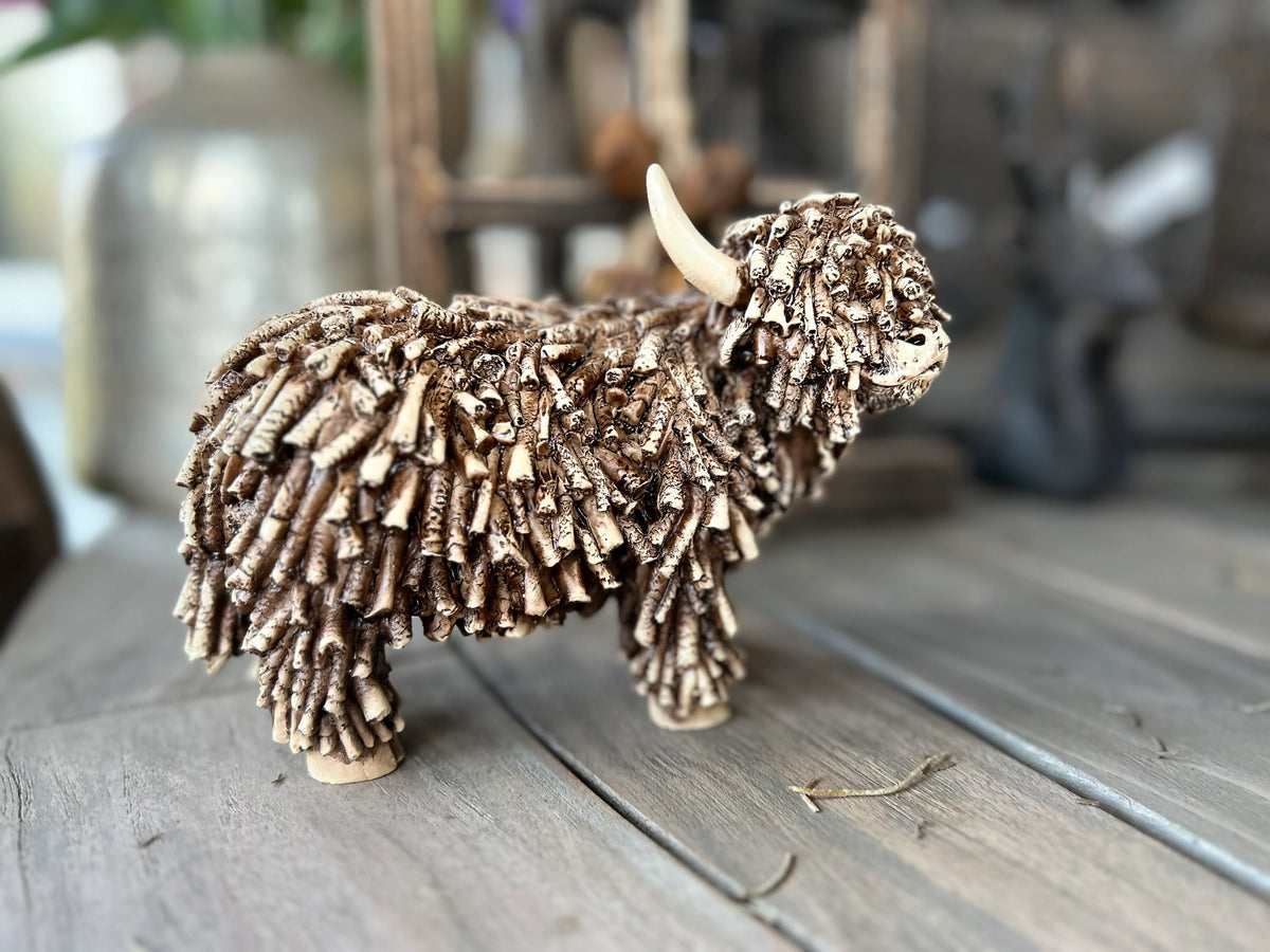 Schotse Hooglander / bizon Dorkas van Countryfield maat L