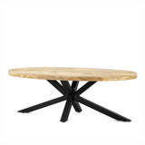 Salontafel Ellips met Spiderleg 130